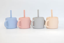Load image into Gallery viewer, Sippy Cup with Handles - Grey